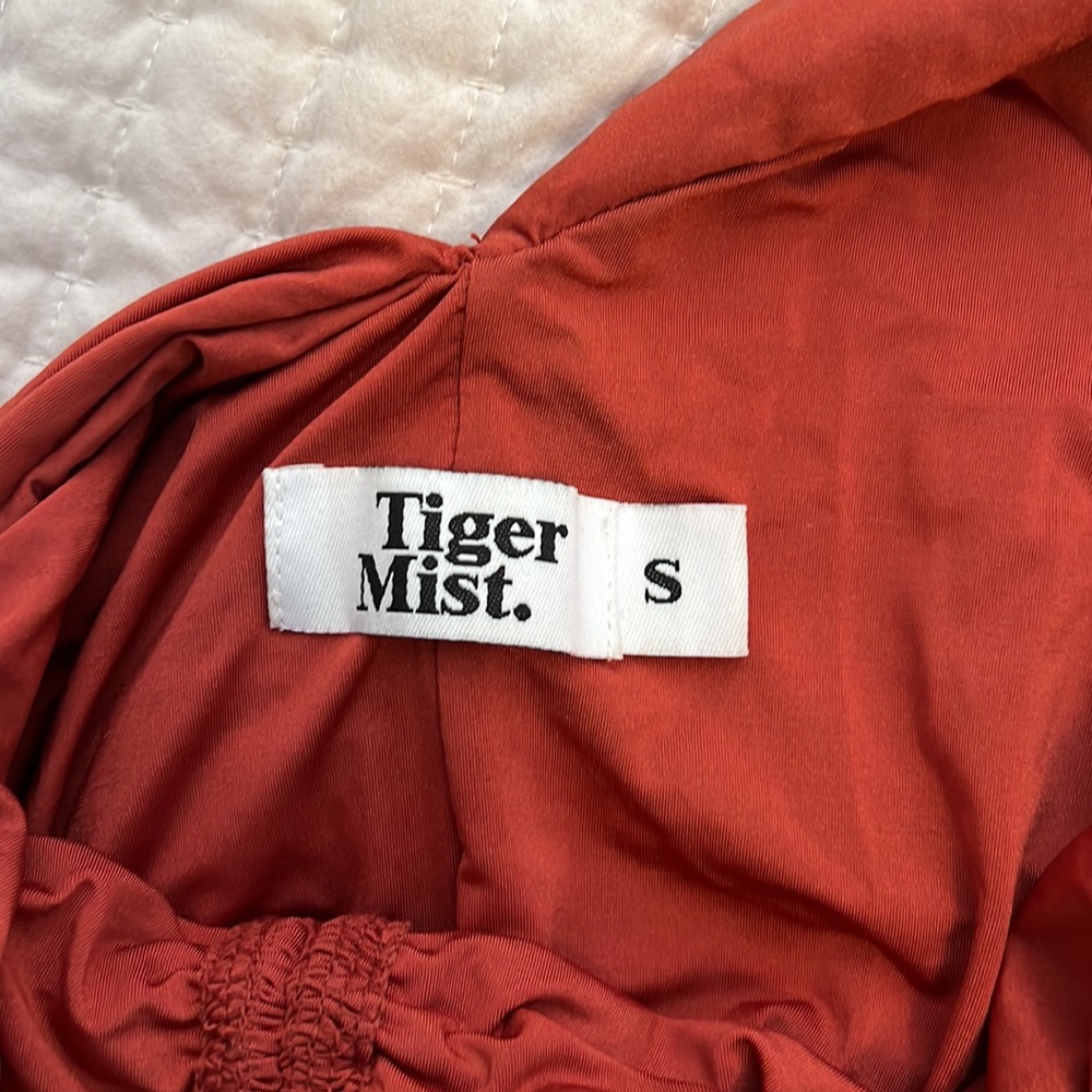 Tiger Mist Ruched Dress - Picture 6 of 7